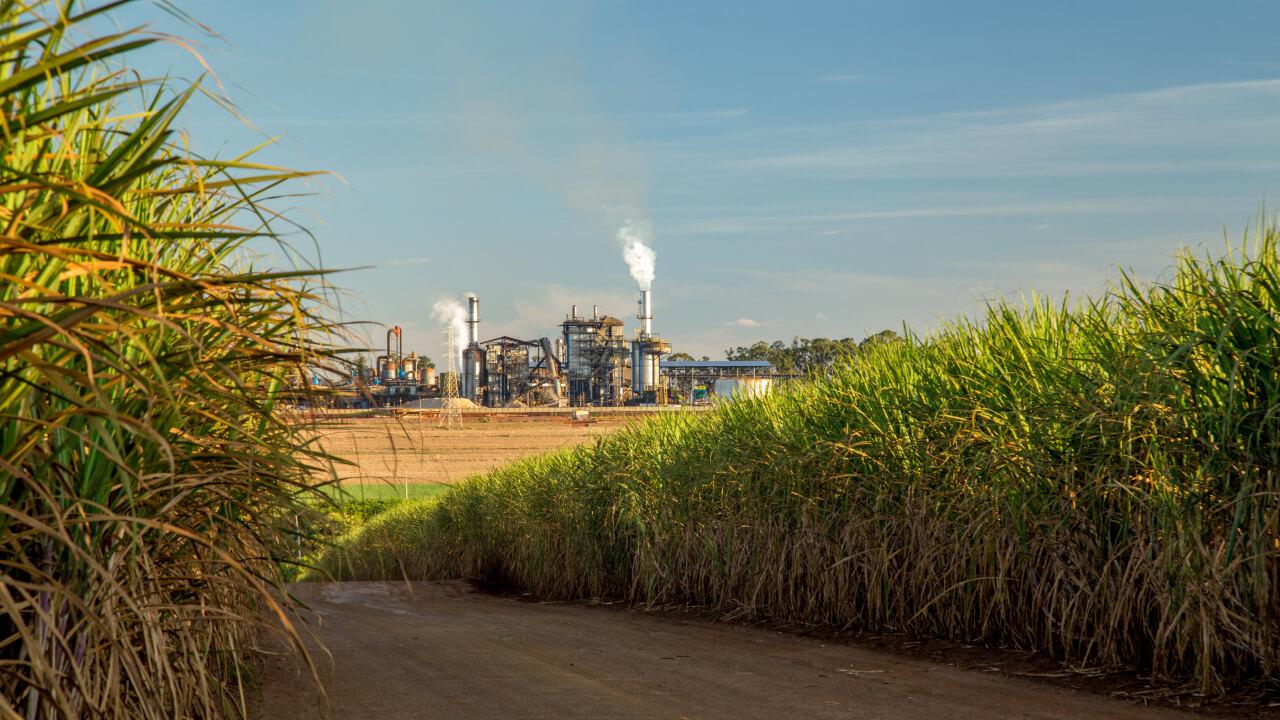 Centro-Sul processa 34,77 mi t de cana em novembro.